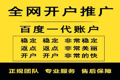 竞价托管与SEO结合的案例分析